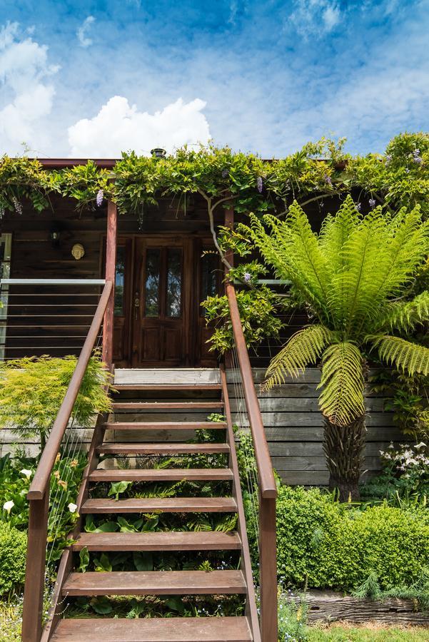 Bed and Breakfast Hollyhock Маседон Экстерьер фото
