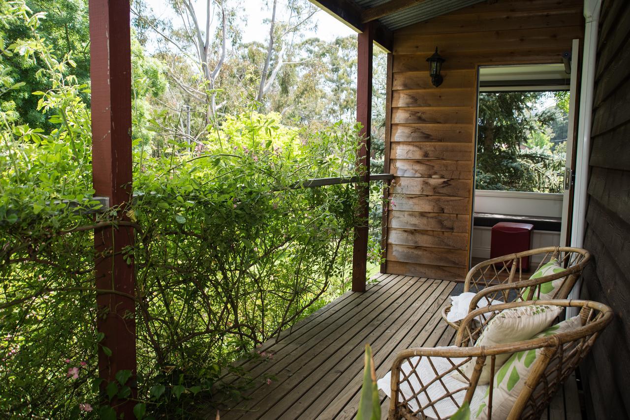 Bed and Breakfast Hollyhock Маседон Экстерьер фото